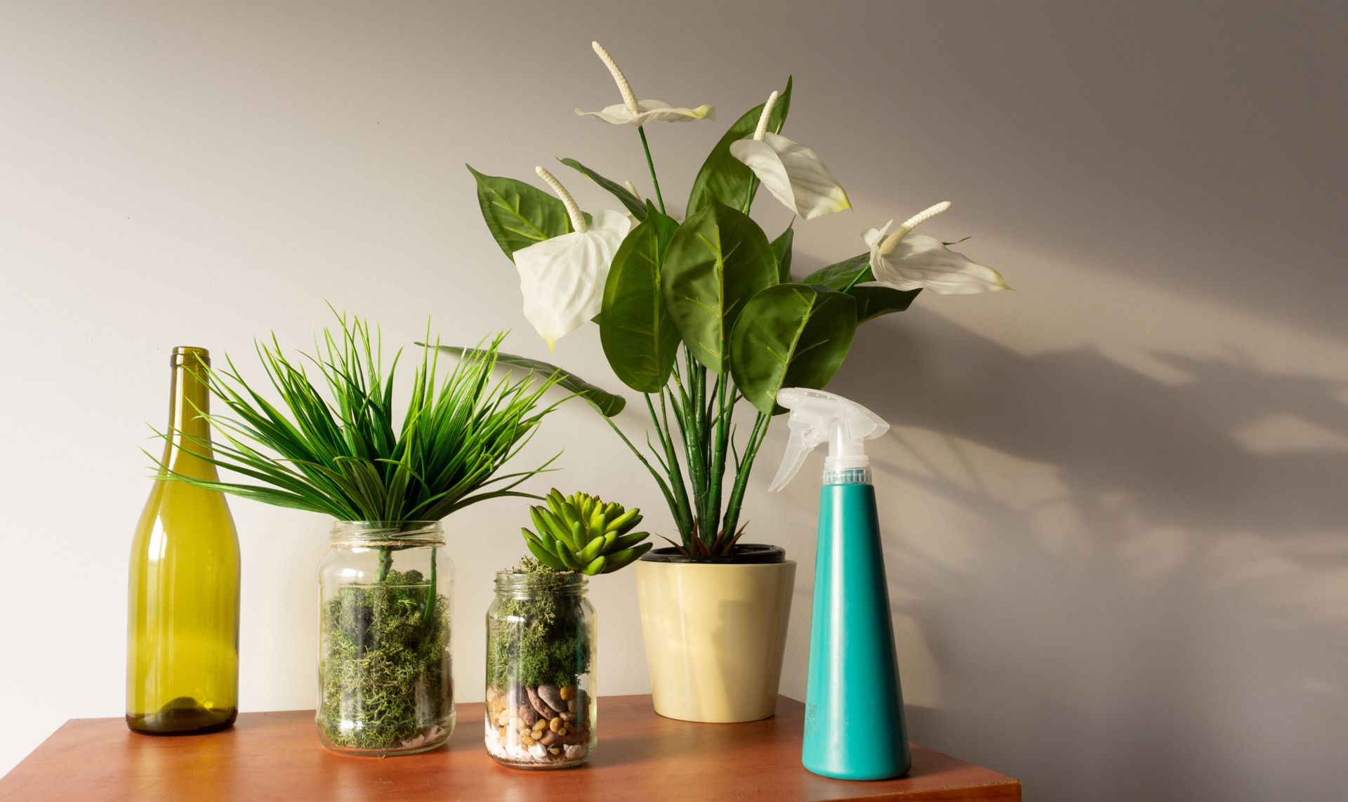 Decorative plants on a wooden table
